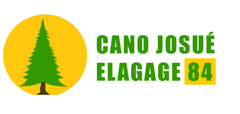CANO Josué Elagage 84